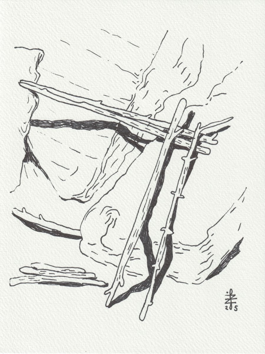 tree-trunks-over-bunker-ruins-2025